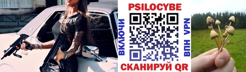 Псилоцибиновые грибы GOLDEN TEACHER  Купить  Новотроицк 