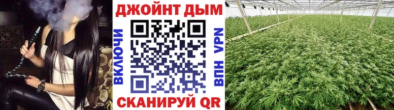 Марихуана план  Купить где  Новотроицк 